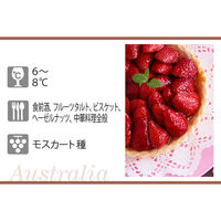 オーストラリア　イエローテイル モスカート 白ワイン　甘口　750ml 1本　サッポロ