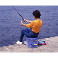 イノマタ化学 かしこいバケツ17Ｌ(バケツ付）クリアブルー 1セット