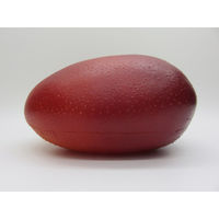 【食品サンプル】 果物専科 国産完熟マンゴ 3029 日本サンプル 1個（直送品）