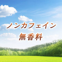 アサヒ飲料 ルイボスティー ラベルレスボトル 500ml 1セット（48本）