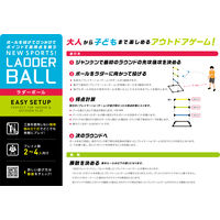 カワダ ラダーボール KHT-01 1個