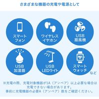 サンワサプライ USB充電器(1A・ホワイト) ACA-IP86W 1個