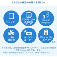 サンワサプライ USB充電器(2A・ホワイト) ACA-IP87W 1個