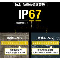 サンワサプライ 2次元バーコードリーダー(ハンディタイプ) BCR-2D6 1個