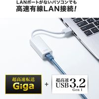 サンワサプライ USB3.2-LAN変換アダプタ(ホワイト) USB-CVLAN1WN 1個