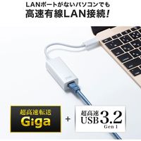 サンワサプライ USB3.2 TypeC-LAN変換アダプタ(ホワイト) USB-CVLAN2WN 1個（直送品）