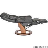 タマリビング パーソナルチェア GT-M ブラック 50002604 1台（直送品）