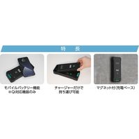 イチネンアクセス ワイヤレスチャージャー BWL-WC1001RC 87254 1個（直送品）