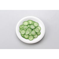 和平フレイズ ソレアード フードプロセッサー SO-123 1個（直送品）