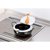 和平フレイズ 燕三条いいもの小路 鉄製蓋付天ぷら鍋24cm TM-9090 1個（直送品）