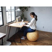 グローバルアロー 北欧デザインのバランスボール R04-6003 moiku Balance Ball B-P 55　1個（直送品）