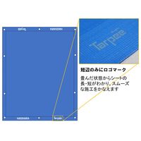 萩原工業 ターピー エコフレンド#3，000 小畳 5.4m×5.4m ブルー 01605 1枚（直送品）