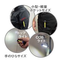 アックスブレーン 充電式LEDポケットワークライト AWLー250CF 1セット(2台)（直送品）