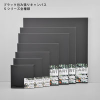 VIC ART ブラック包み張りキャンバス SSM 028642 1枚（直送品）