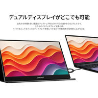 JAPANNEXT 15.6インチ 4Kワイド モバイルディスプレイ JN-MD-IPS156U 1台（直送品）