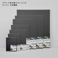 VIC ART ブラック包み張りキャンバス F4 028624 1枚（直送品）