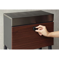 MOJYU レクシー スタンドポスト ダークグレー/ブラウン木目 1台（直送品）