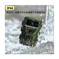 ブロードウォッチ 防水赤外線動感検知防犯トレイルカメラ SEC-WTIRTV-027K 1個 69-8572-97（直送品）