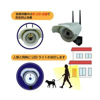 ブロードウォッチ ソーラー人感LED防犯ダミーカメラ 警報無し SEC-CAM-NLED 1個 69-8572-78（直送品）