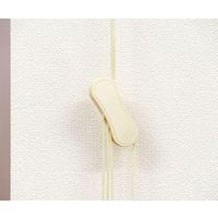 フルネス ロールスクリーン 幅80cm×高さ220cm グリーン 64-0914-08 1箱（直送品）