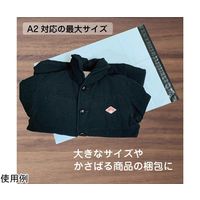 ブロードウォッチ 宅配ビニール袋 縦60×横45cm 1個(100枚入) CARGO-BAG-A2 1個(1枚) 60-5673-25（直送品）