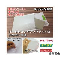 ブロードウォッチ クッション封筒 縦17×横13cm 1個(10枚入) CARGO-BUB-1713-10 1個(1枚)（直送品）