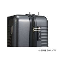 エース WorldTraveler ナタドラ 31L 05611-09 1個 64-3927-40（直送品）