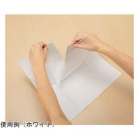 カウネット 拭き掃除用使い捨てドライシート ブラウン 50組 31835787 1個(50組) 64-9357-77（直送品）