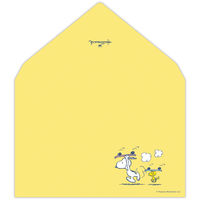 日本ホールマーク 日本HM レターセットSNHJスケボー 843670 1セット(1冊×6)（直送品）