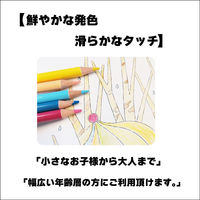 アイエス 缶入り色鉛筆 12色 IS-CP12 1セット(1個×10)（直送品）