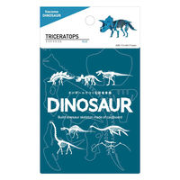 hacomo 工作キット ダンボール製 ダイナソーシリーズ トリケラトプス 377428 1個（直送品）