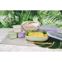 イエロースタジオ 弁当箱 1段 600ml レカ オーバル バイオマスプラスチック ライラックパープル 388277 1個（直送品）