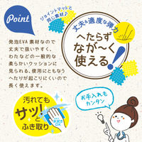 ソニック クッション まっすぐ姿勢ですくすくッション キッズ リビガク 404628 1個（直送品）