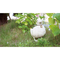 キシマ ガーデンオーナメント ダック 置物 452516 1個（直送品）