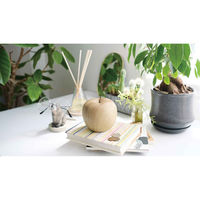 キシマ オブジェ 北欧風木調マネーバンク 陶器 リンゴ 468158 1個（直送品）