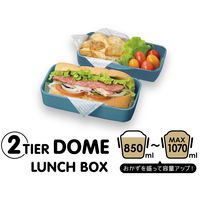 イエロースタジオ 弁当箱 2段 850ml EDGE ドーム型 ブルー 388247 1個（直送品）