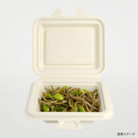 パックスタイル 弁当容器 BBランチ 135-115E 00784638 1ケース(600個(50個×12))（直送品）