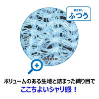 キクロン ボディータオル キクロンファイン シャスターふつうP 00797587 1ケース(60個(10個×6))（直送品）