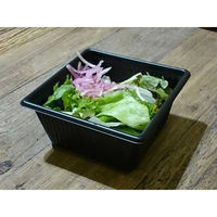 中央化学 軽食容器 SD キャセロ 4K100-46 BK 身 923888 1袋(50個)（直送品）