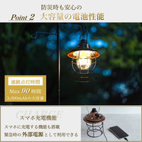 A-0007-Brown（直送品）