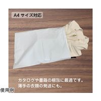 ブロードウォッチ 宅配ビニール袋 縦33×横24cm 1個(100枚入) CARGO-BAG-A4 1個(1枚) 60-5673-27（直送品）