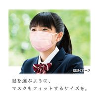 アズワン ピンクマスク 小さめ Sサイズ 5枚入×5袋セット 65-0261-02 1セット(25枚)（直送品）