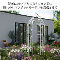 住まいスタイル アイアンハーフアーチ(オベリスクキット) IF-N0035WHT 1台（直送品）