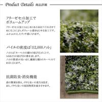 イケヒコ ガイア 玄関マット 700×1200mm グリーン 1311050016401 1枚（直送品）