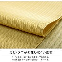 イケヒコ・コーポレーション ファームGN江戸間8畳 1090250000000 1枚