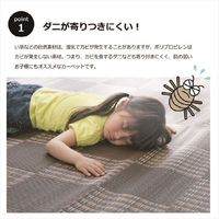 イケヒコ・コーポレーション ウィード PP BR 本間2畳 1090280000000 1枚