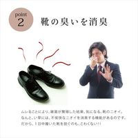 イケヒコ・コーポレーション い草インソール NV 31cm 1120290190422 1セット（直送品）