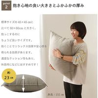 イケヒコ レイク ジャンボクッション 600×600mm ブラウン 9165589 1個（直送品）