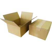 ロジマート 60サイズ ダンボール【NO198】K5 BF 51z198-160 1袋(20枚)