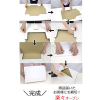 ロジマート ダンボール ゆうパケット3cm 白 NO485 339*229*29 50枚 引っ越し フリマアプリ 梱包（直送品）